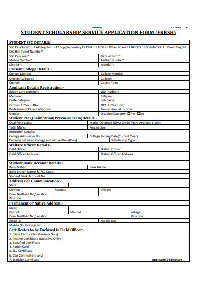 Free 32 Scholarship Application Forms In Pdf Ms Word Xls