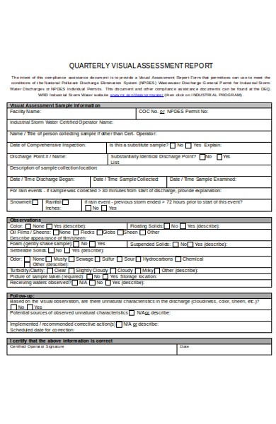 visual assessment report form