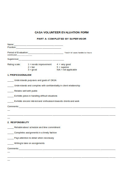 volunteer evaluation form