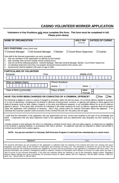 volunteer worker application form