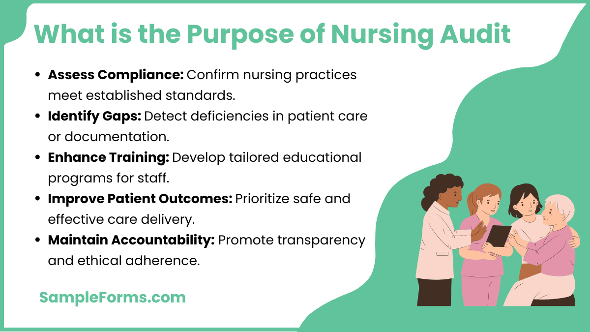 what is the purpose of nursing audit