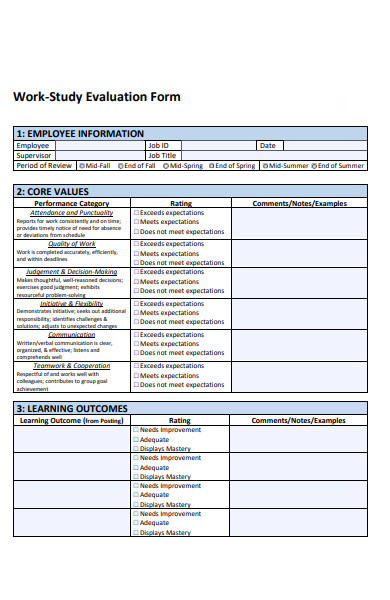 work evaluation form