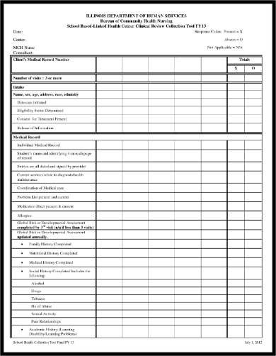 Free 5 Nursing Audit Forms In Pdf