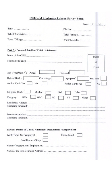child and labour survey form