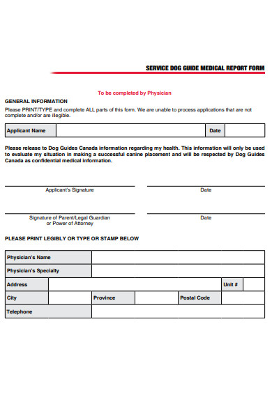 dog medical report form