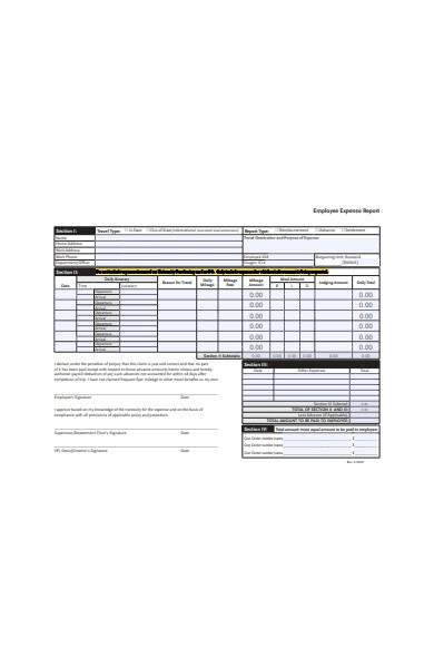 employee expense report in pdf