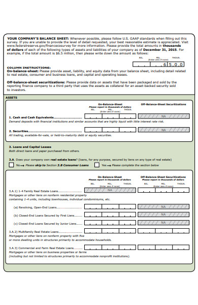 finance company survey form