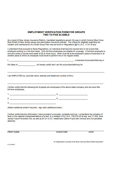 group employment verification form