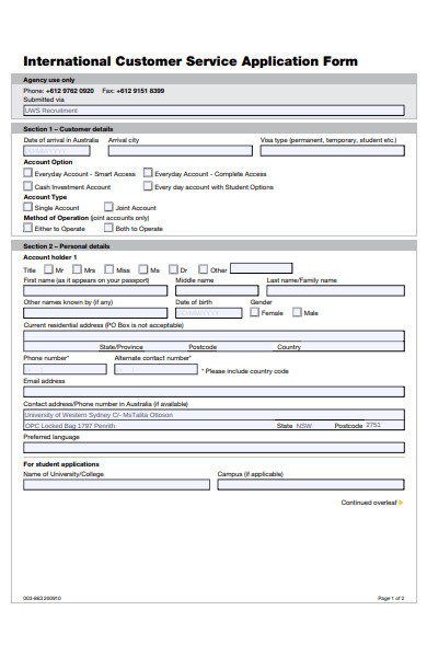 international customer service application form