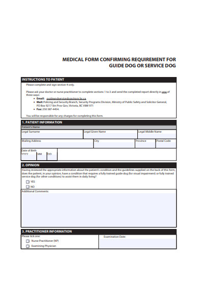 medical form in pdf