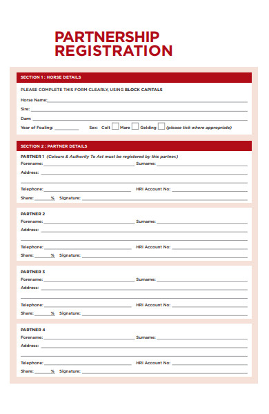 partnership registration form