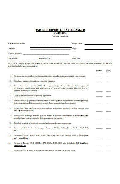 partnership tax organizer form