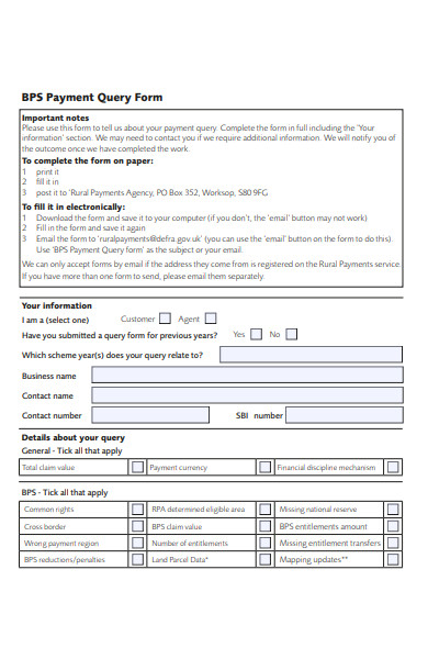 payment query form