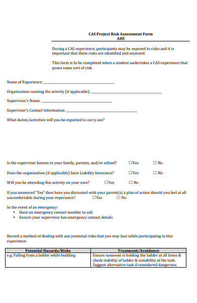 sample project risk assessment form