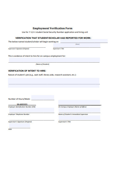 student employment verification form