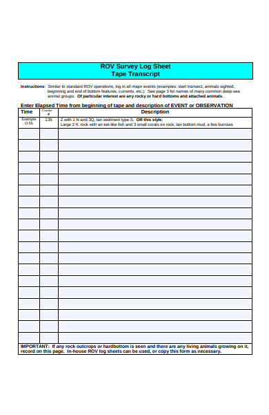 survey log sheet form