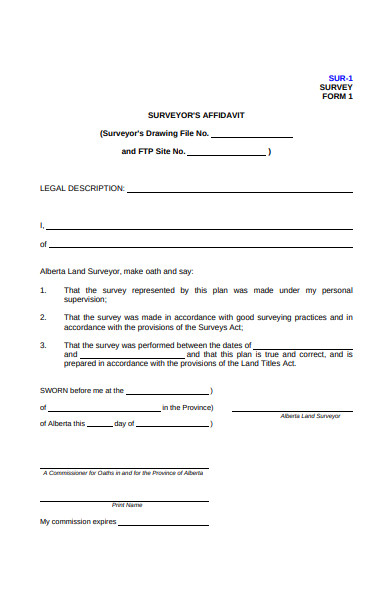 surveyors affidavit survey form