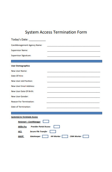 system access termination form
