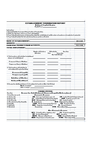 termination report form