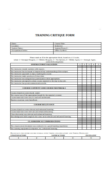 training critique form