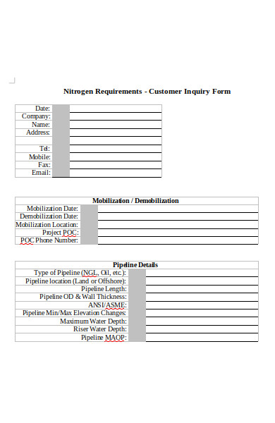 FREE 50 Inquiry Forms In PDF MS Word doc 