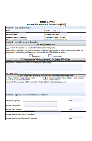 foreign service performance evaluation form