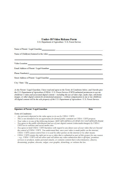 general video release form