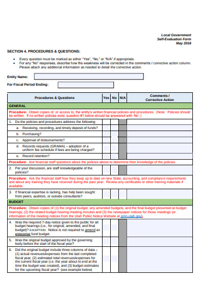 local government self evaluation form
