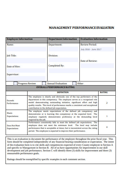 management performance evaluation form