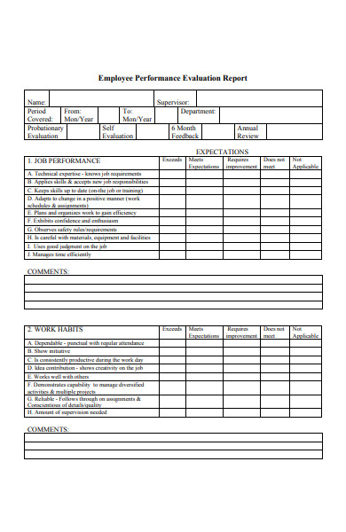 performance evaluation report form1