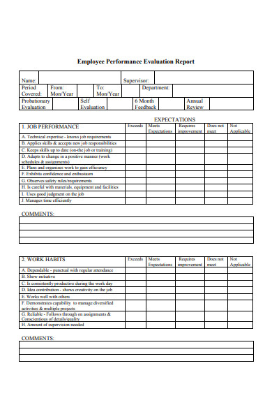 FREE 52+ Performance Evaluation Forms in PDF | Ms Word | XLS