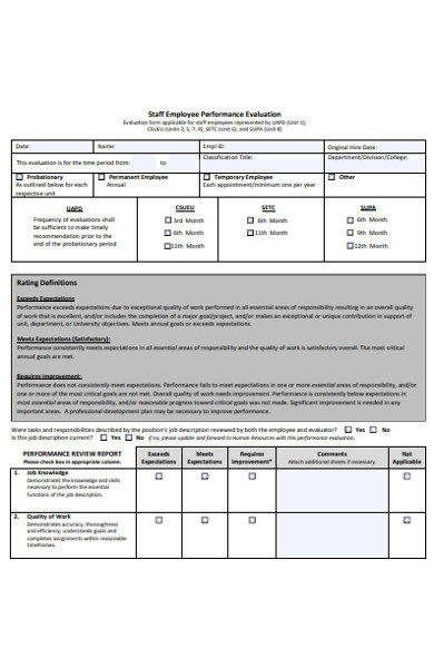 printable performance evaluation form