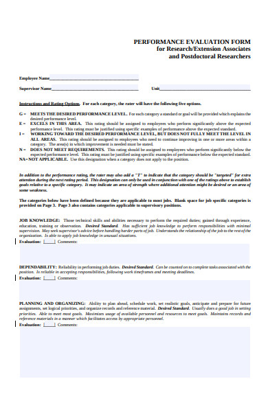 research performance evaluation form