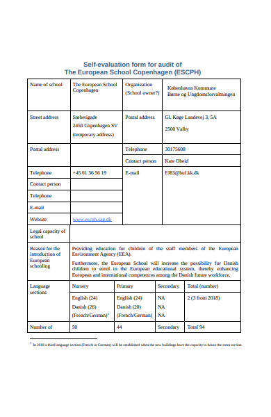 self evaluation form for audit
