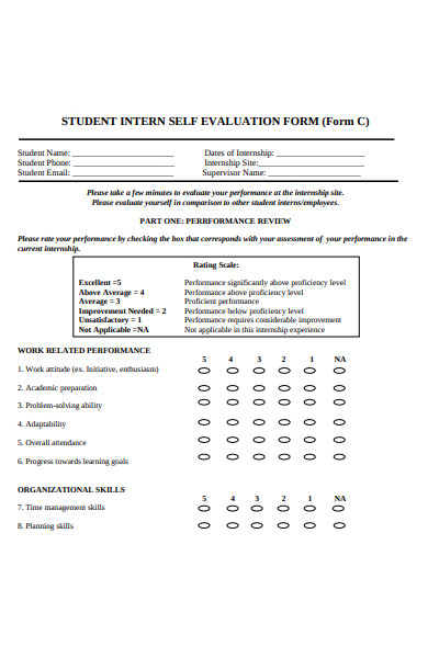 student intern self evaluation form