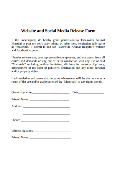website media release form