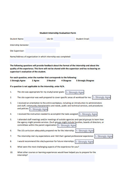 internship evaluation form sample