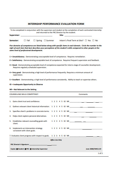 internship performance evaluation form