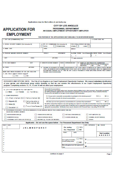 application for employment example