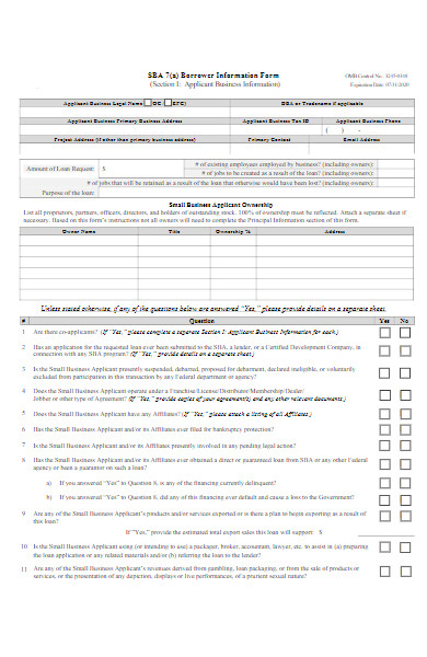 borrower information form