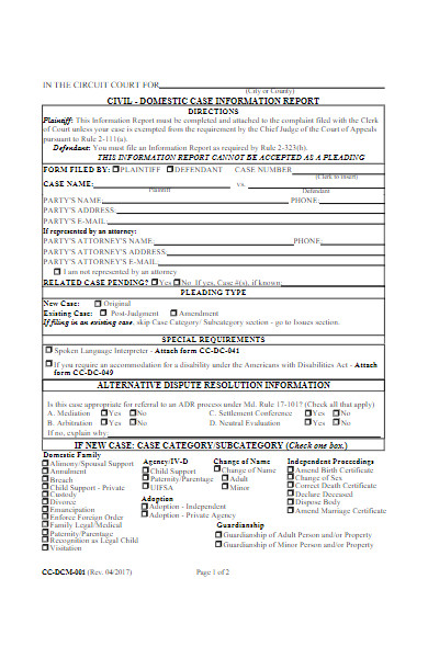 civil domestic case information report form