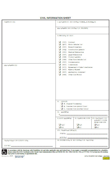 civil information sheet form