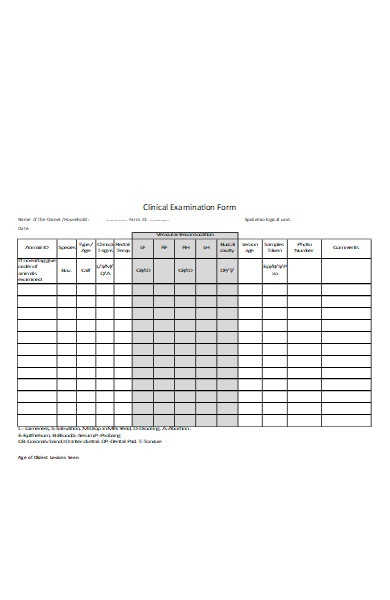 FREE 50+ Examination Forms in PDF | MS Word