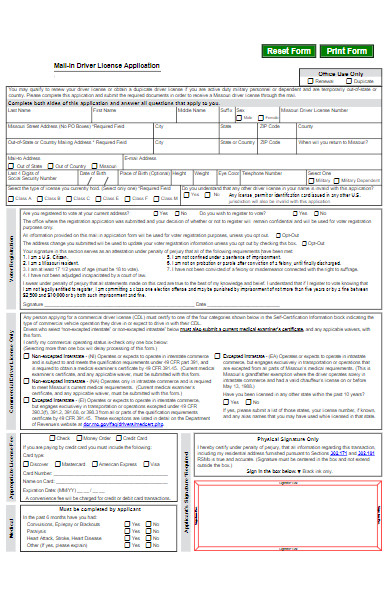 drivers license application form format