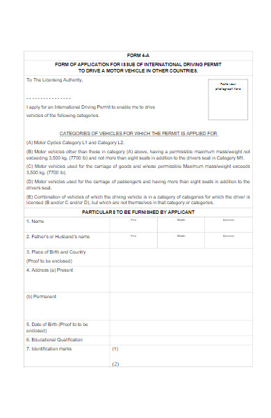international driving permit form