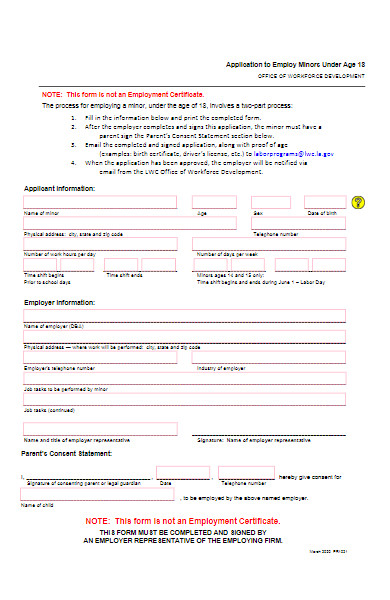 minor application to employ form