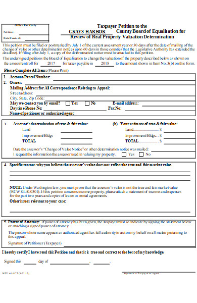 tax payer value form