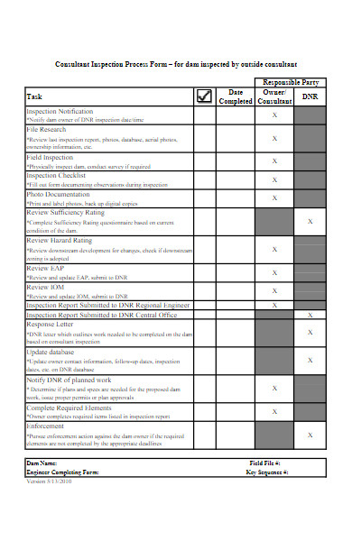 consultant inspection process form