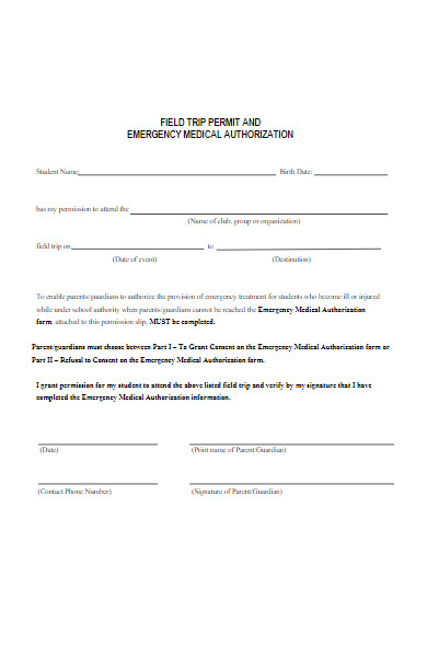 emergency medical permission form