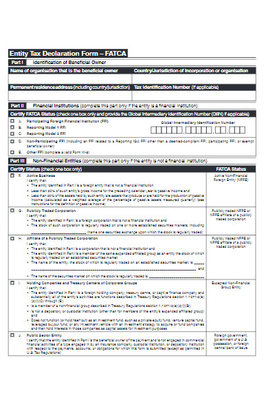 entity tax declaration form